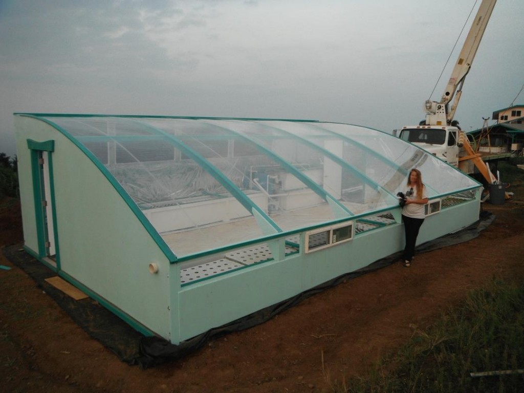 Susanne with the newly-covered Hawaii Aquaponic Greenhouse (Family 608 square foot size).